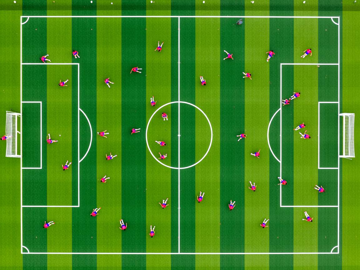 爱游戏平台-2026年世界杯比赛场馆引发热议