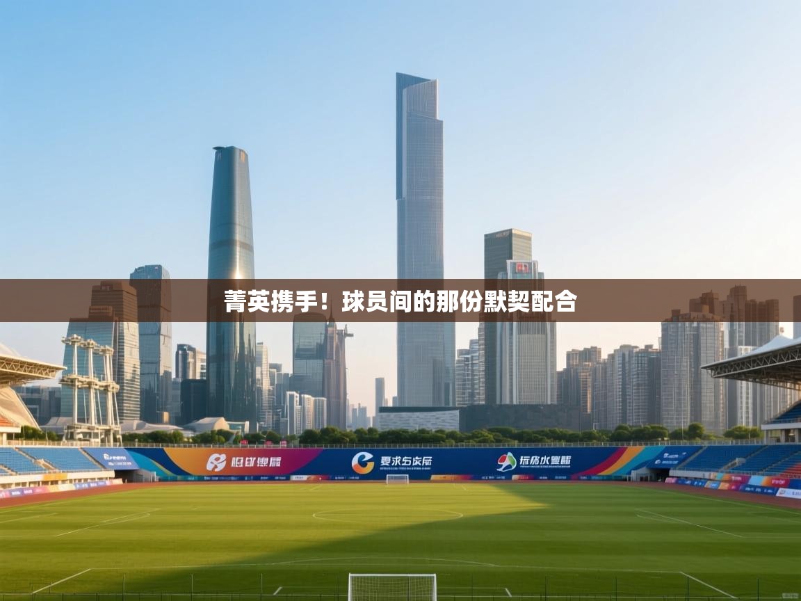 菁英携手!球员间的那份默契配合 第2张